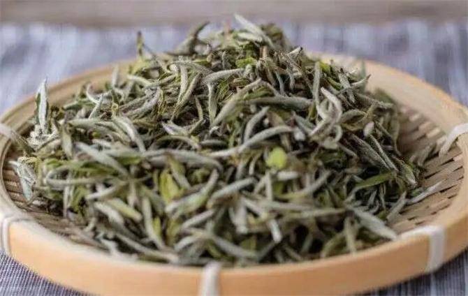 必博体育白茶是绿茶还是红茶？白茶是什么茶？茶树品种和制作工艺别搞混了(图2)